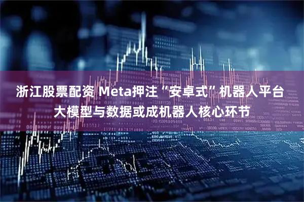 浙江股票配资 Meta押注“安卓式”机器人平台 大模型与数据或成机器人核心环节