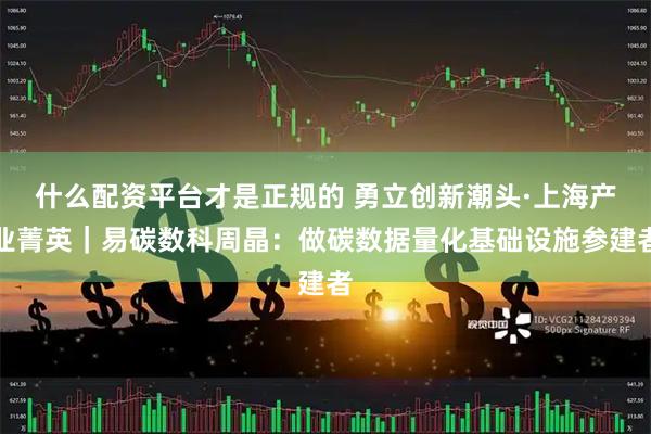 什么配资平台才是正规的 勇立创新潮头·上海产业菁英｜易碳数科周晶：做碳数据量化基础设施参建者