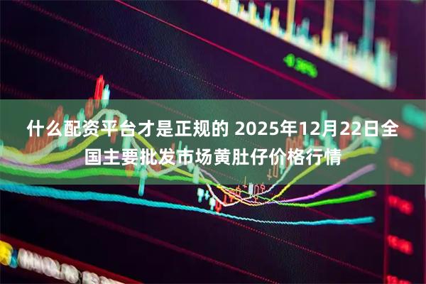 什么配资平台才是正规的 2025年12月22日全国主要批发市场黄肚仔价格行情